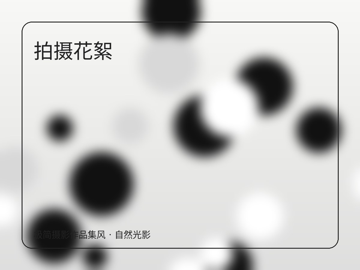 拍摄风格 图片 5